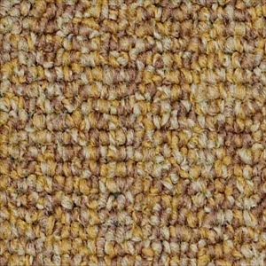 Multiplicity Tile